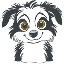 Border collie chiot 2