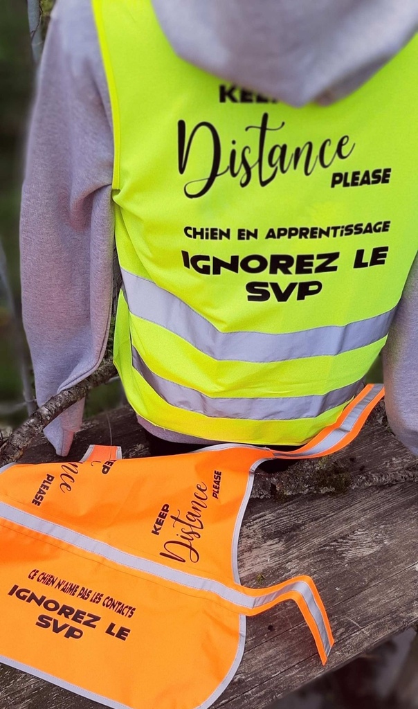 R200XEV - Gilet CORE à visibilité accrue 3