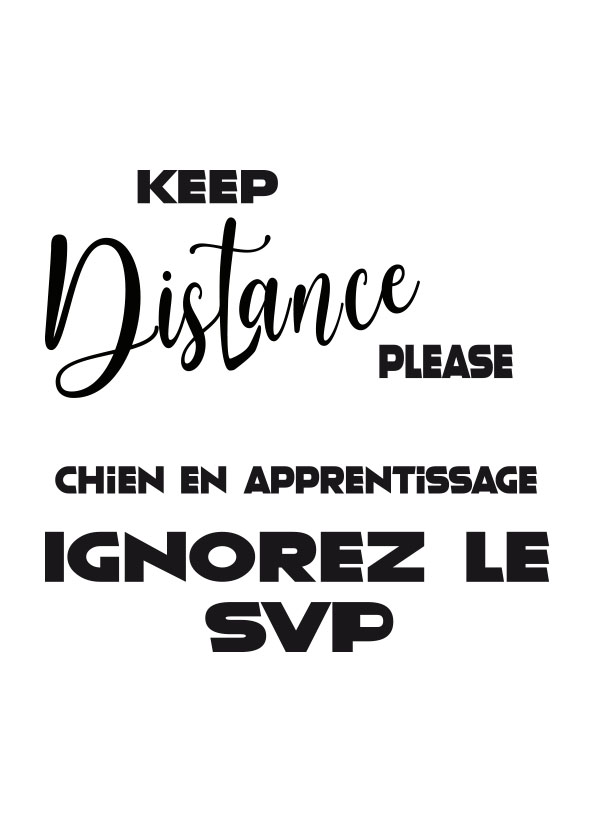 R200XEV - Gilet CORE à visibilité accrue 5