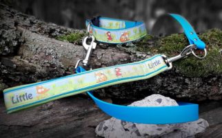 Ensemble collier réglable et laisse ruban imprimé 5