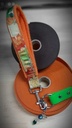 Laisse Interchangeable En PVC (4 largeurs possible) 4