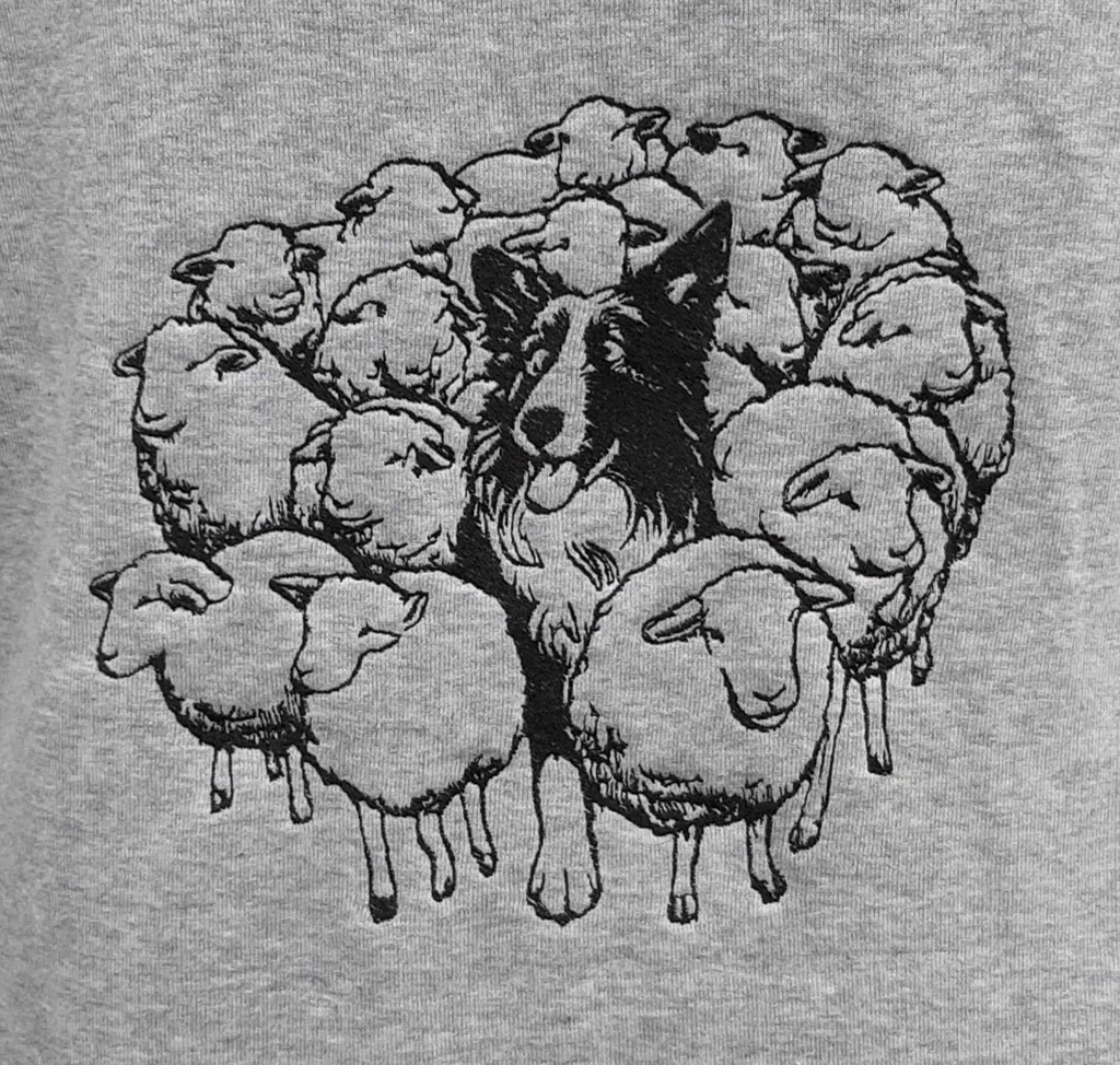 Border collie 3