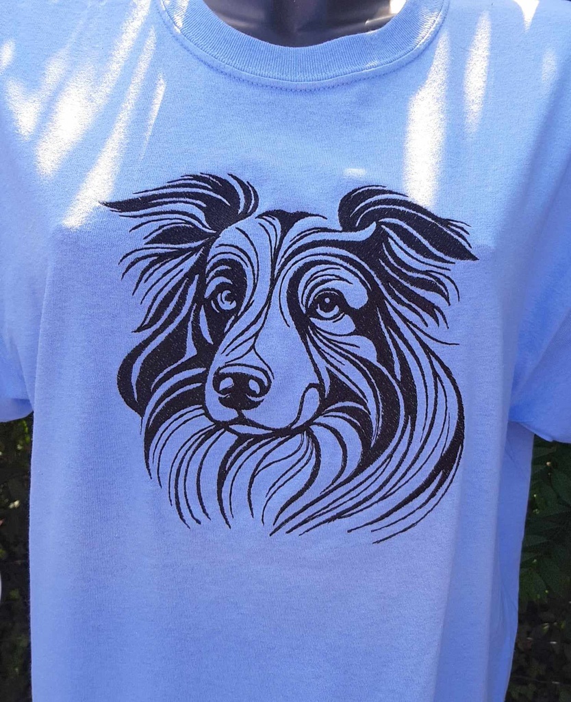Border collie 4