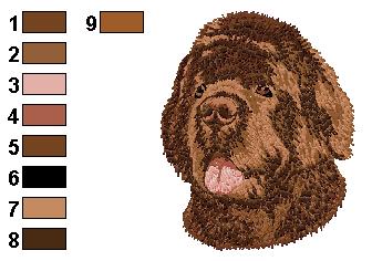 Terre neuve brun
