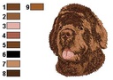 Terre neuve brun