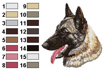 Malinois