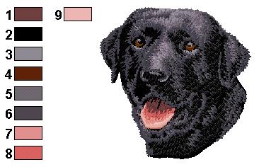 Labrador 2