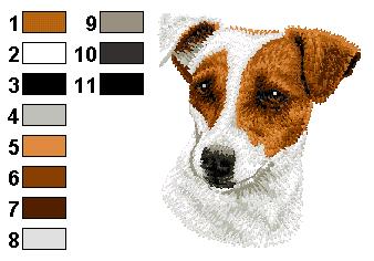 Jack russel 2