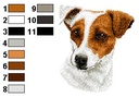 Jack russel 2