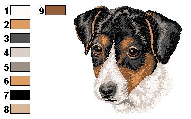 Jack russel