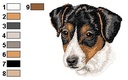 Jack russel