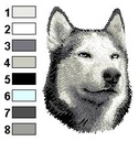 Husky