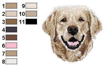 Golden retriever