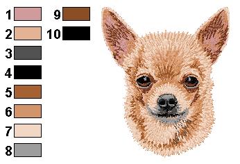 Chihuahua 2