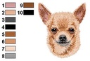Chihuahua 2