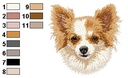 Chihuahua 1