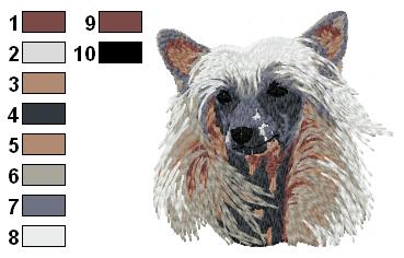 Chien chinois 2