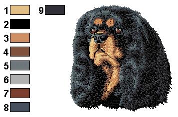 Cavalier king charles 2