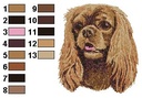 Cavalier king charles