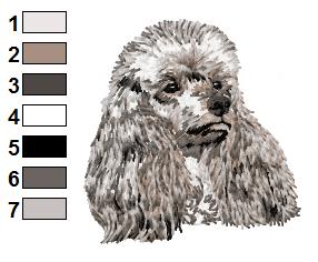 Caniche
