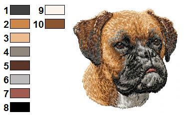 Boxer 2