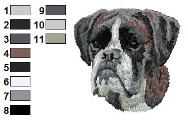 Boxer 1