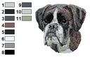 Boxer 1