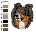 Border collie tri