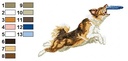 Border collie disk 2