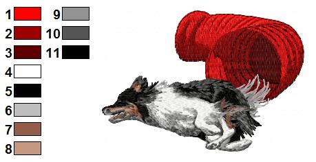 Border collie agility 4