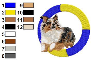 Border collie agility 3