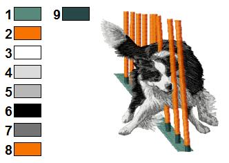 Border collie agility 2