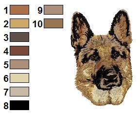 Berger allemand 1