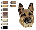 Berger allemand 1