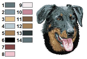 Beauceron