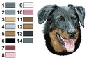 Beauceron