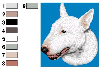 Bull terrier