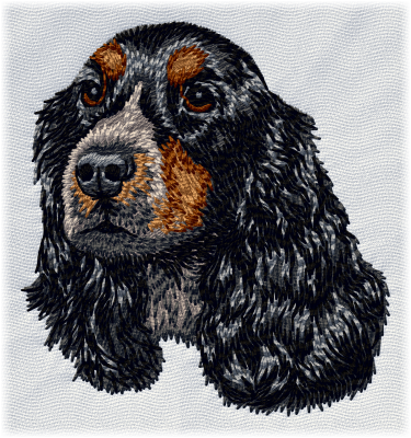 Cocker 2