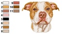Amstaff
