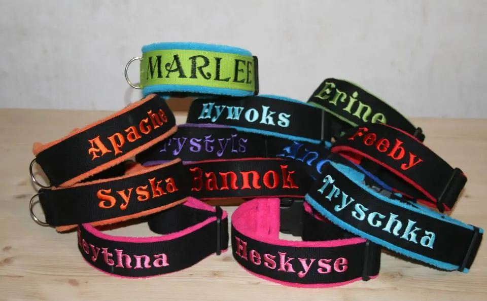 Collier Martingale Polaire (largeur 5 cm) 3.webp