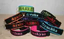 Collier Martingale Polaire (largeur 5 cm) 3.webp
