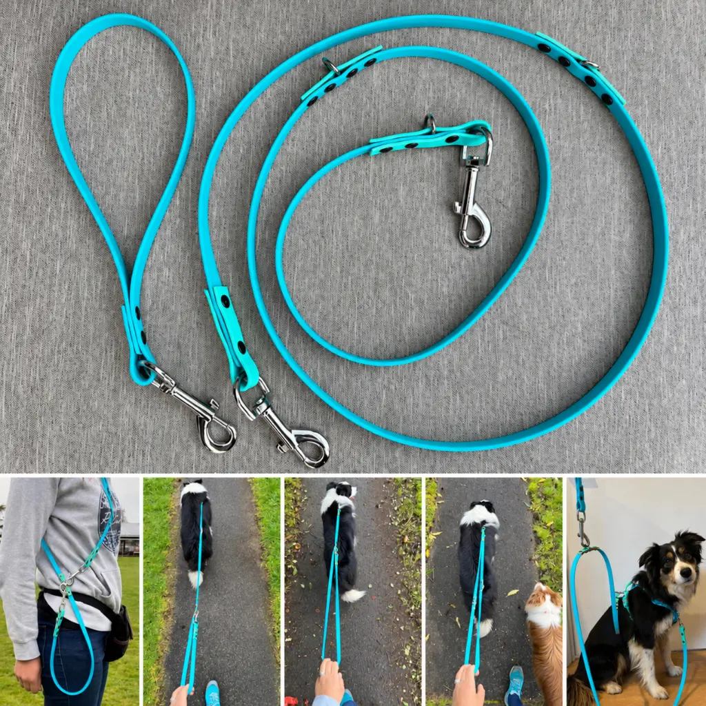 Laisse turquoise mains libres pour chien.webp