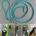 Laisse turquoise mains libres pour chien.webp