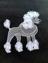 Caniche à frange
