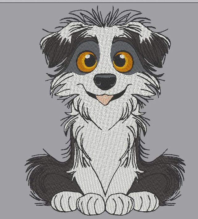 Bidule le border collie