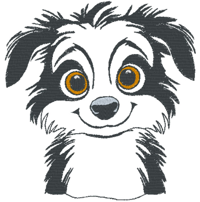 Border collie chiot