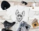 Malinois 
