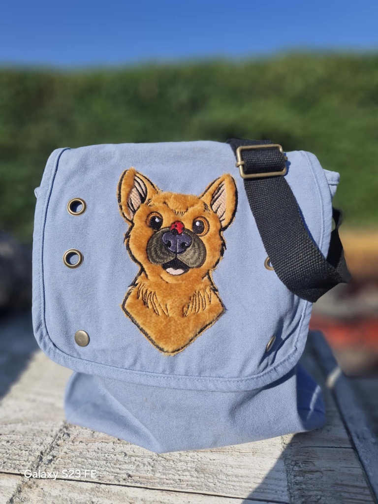 Becasse Malinois Coccinelle
