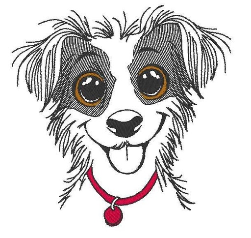 Dudule le petit Jack Russell