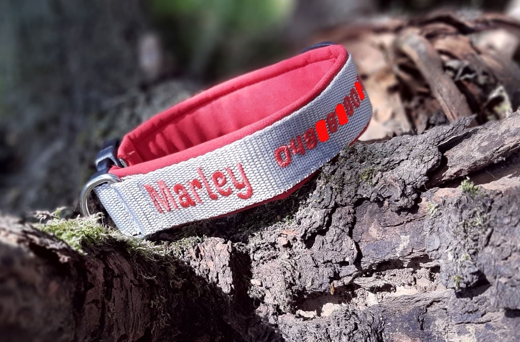 Collier Réglable doublé avec Néoprène avec Nom + Numéro de téléphone